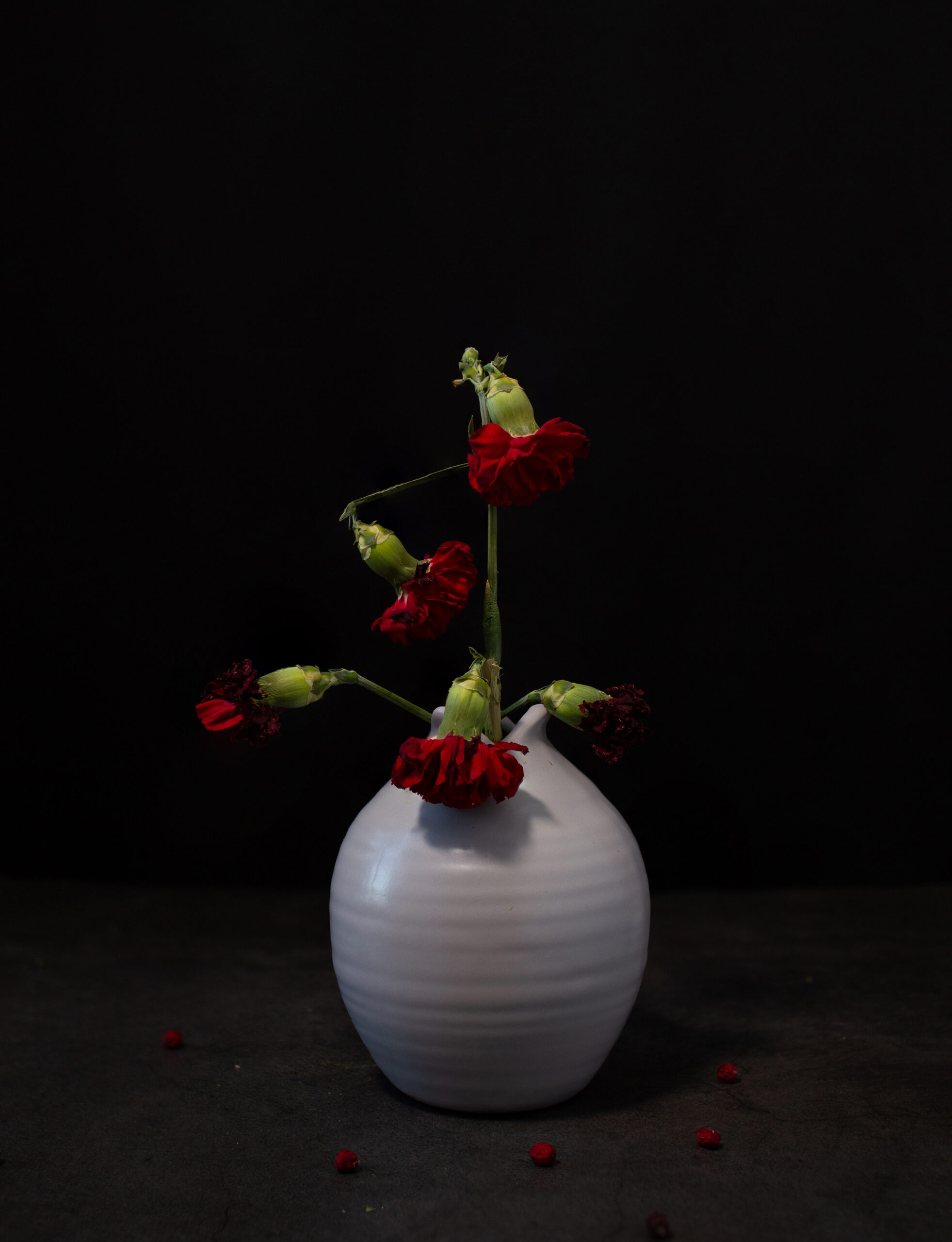 carnations-red-1